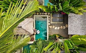 Temuku Ubud Villas